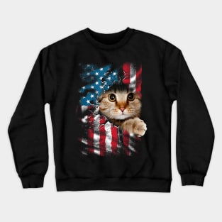 Patriotic Cat 4th Of July Men USA American Flag Women Crewneck Sweatshirt